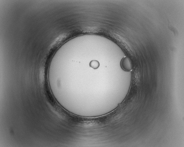 X0000116890686201001051524