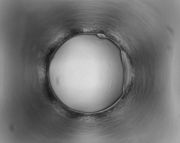 X0000116890691201001051524