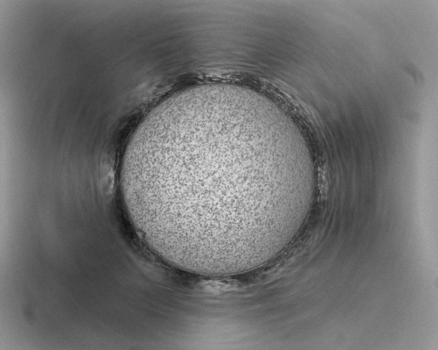 X0000116890703201001051524