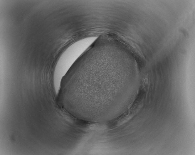 X0000116890708201001051524