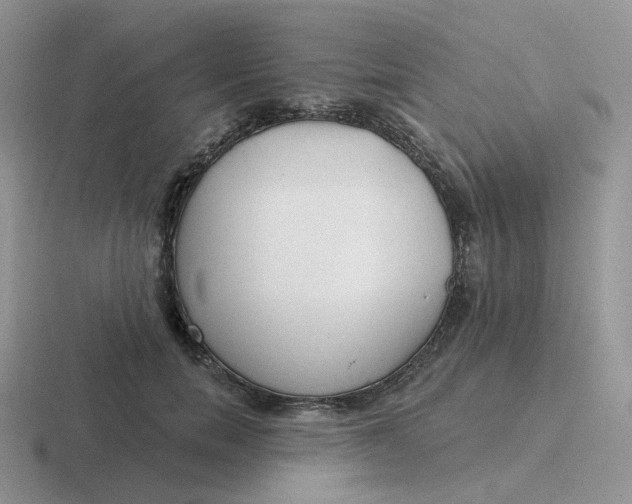X0000116890750201001051523