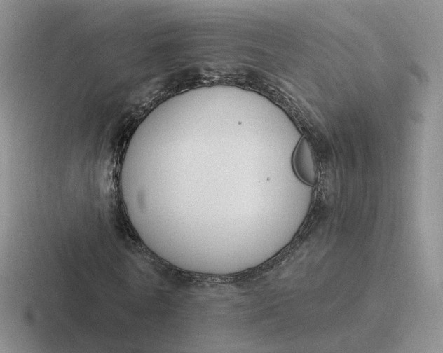 X0000116890770201001051523