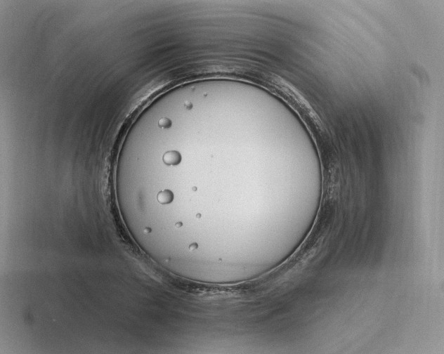 X0000116890786201001051523