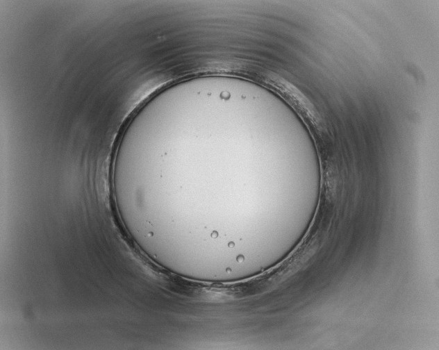 X0000116890794201001051523