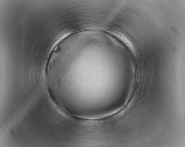 X0000116890806201001051523
