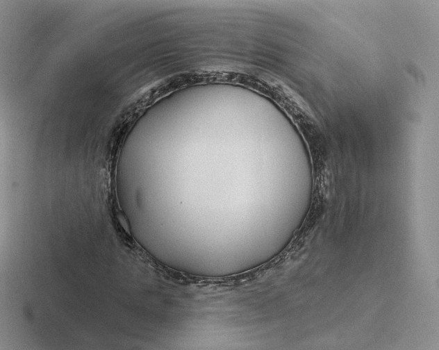 X0000116890821201001051522