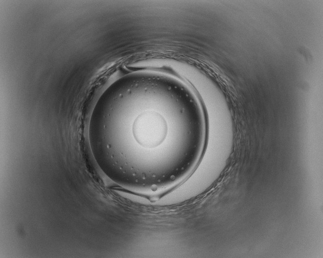 X0000116890824201001051522