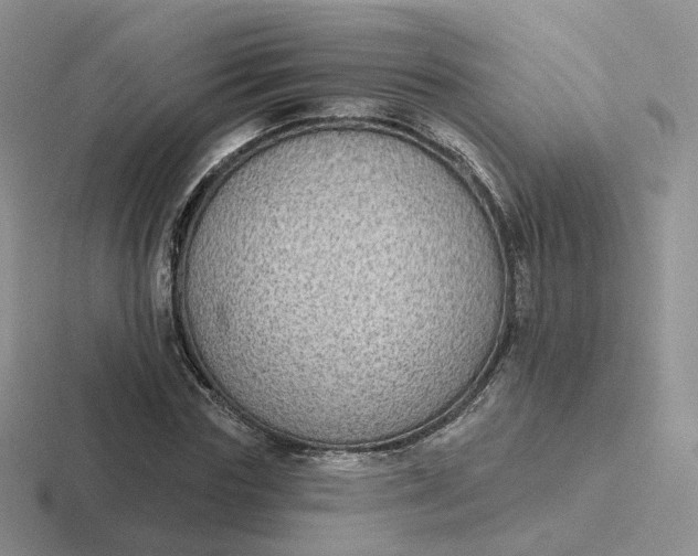 X0000116890827201001051522