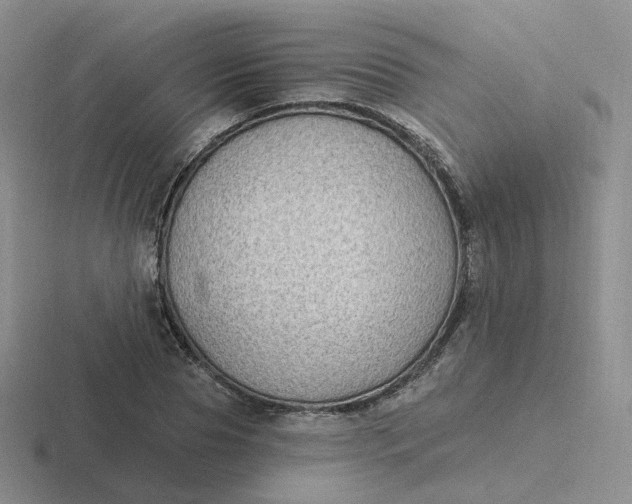 X0000116890929201001051521