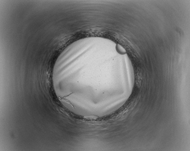 X0000116891010201001051519