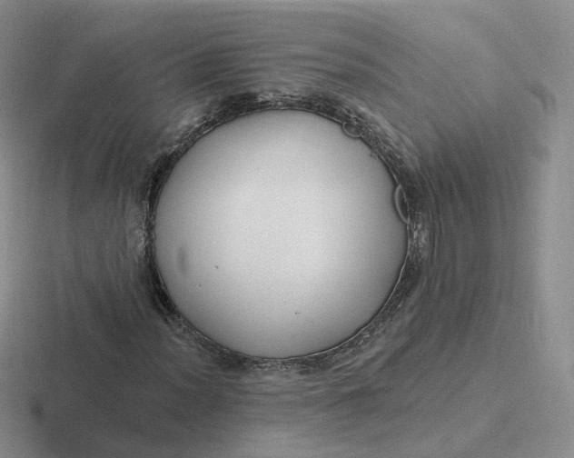 X0000116891012201001051519