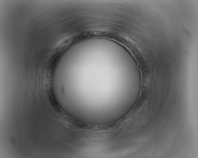 X0000116891014201001051520