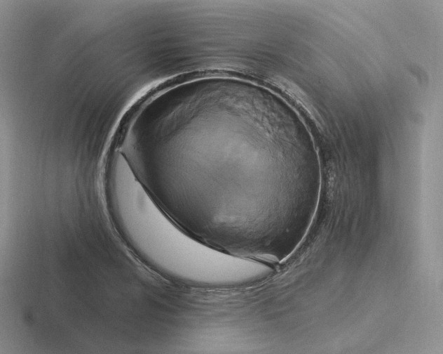 X0000116891024201001051520