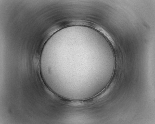 X0000116891049201001051520