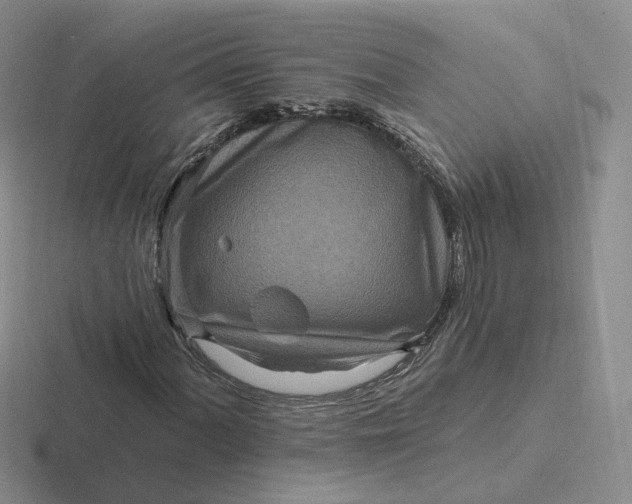 X0000116891060201001051519