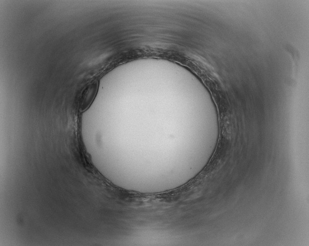 X0000116891061201001051519