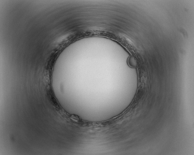 X0000116891062201001051519