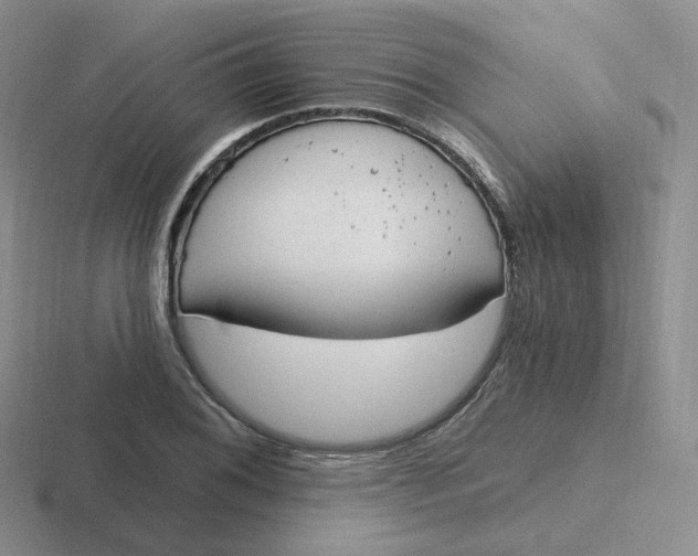 X0000116891076201001051519