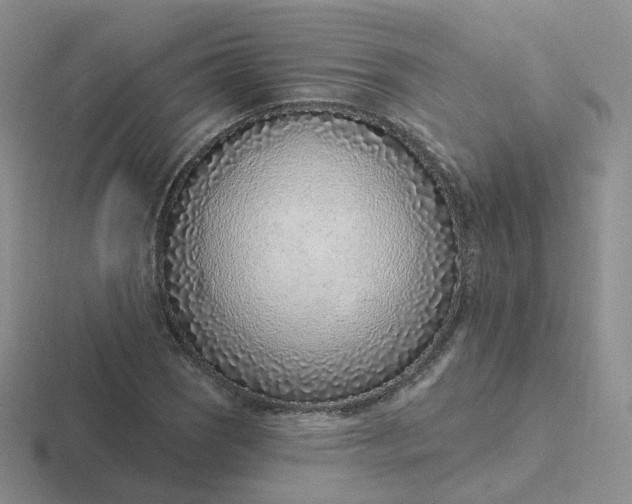X0000116891121201001051518