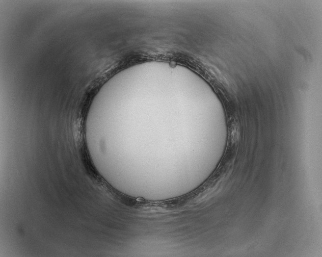 X0000116891156201001051518