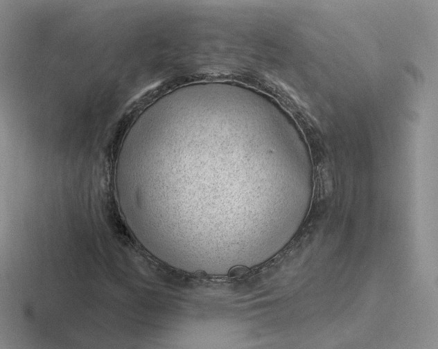 X0000116891158201001051518