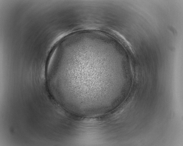 X0000116891174201001051518