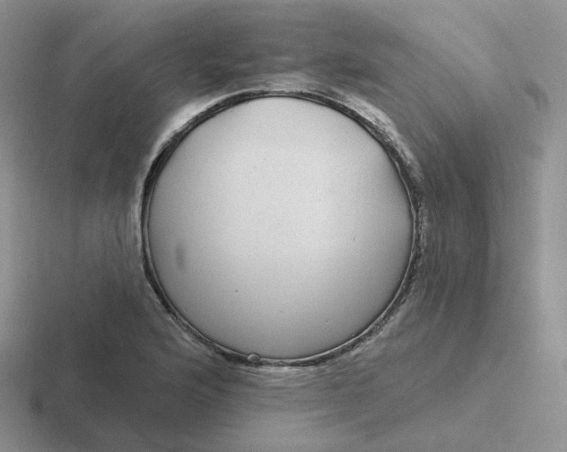 X0000116891176201001051518