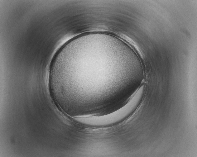 X0000116891179201001051518