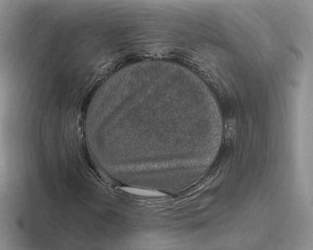 X0000116891202201001051517