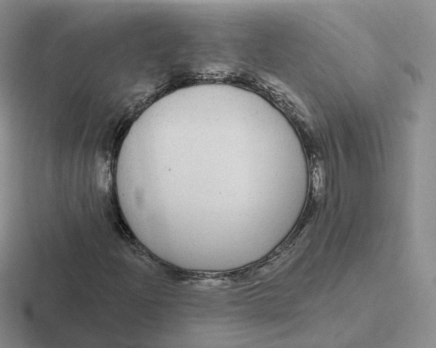 X0000116891204201001051517