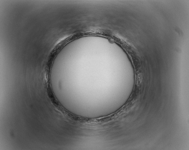 X0000116891206201001051517