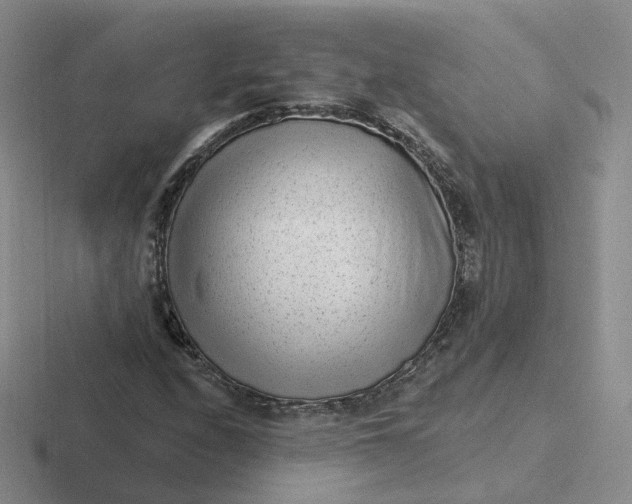 X0000116891208201001051517
