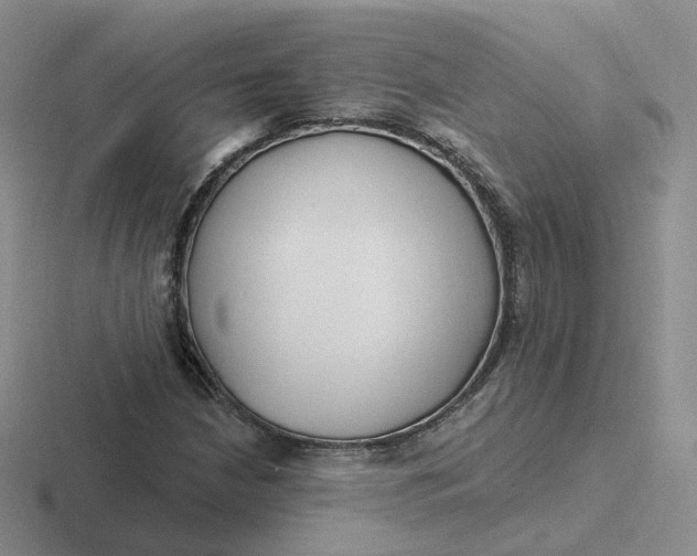 X0000116891210201001051517