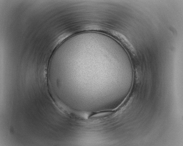 X0000116891225201001051517