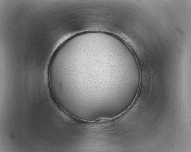 X0000116891230201001051517