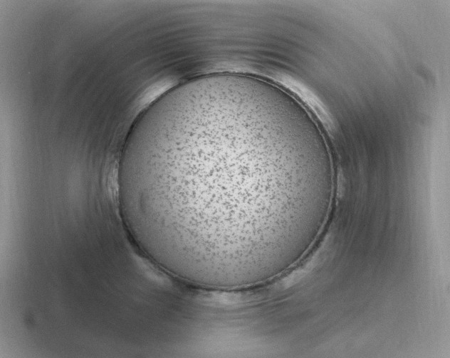 X0000116891241201001051518