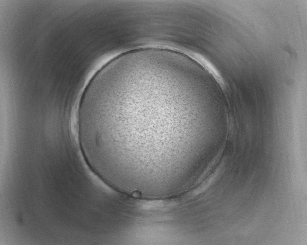 X0000116891247201001051518