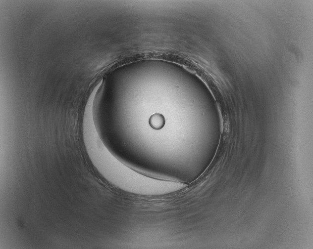 X0000116891252201001051517