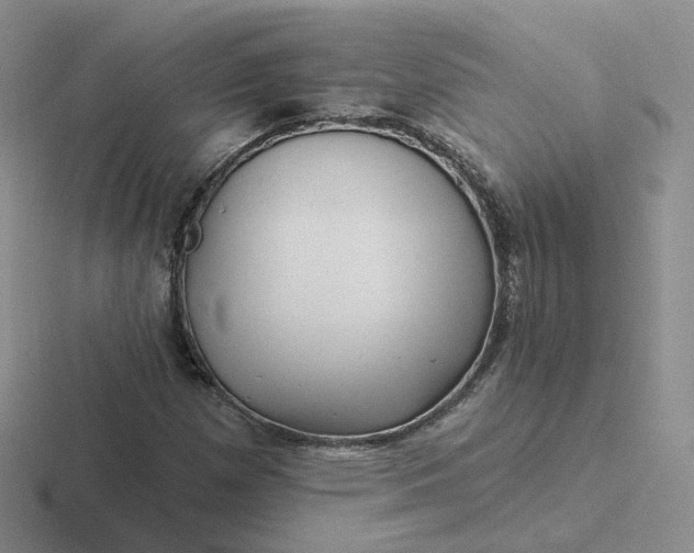 X0000116891257201001051517