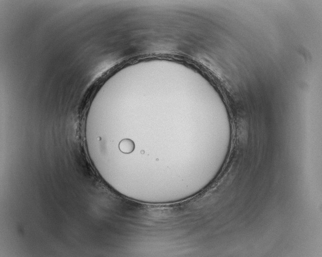 X0000116891258201001051517