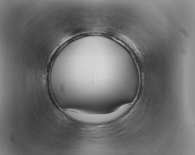 X0000116891260201001051517