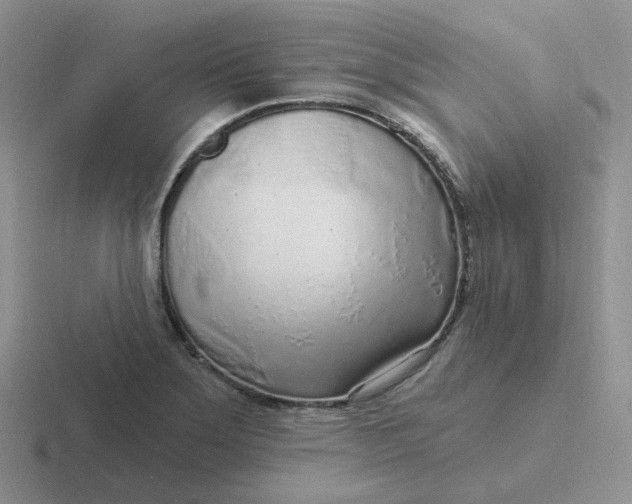 X0000116891275201001051517