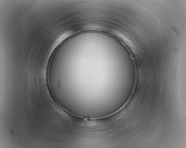 X0000116891330201001051516