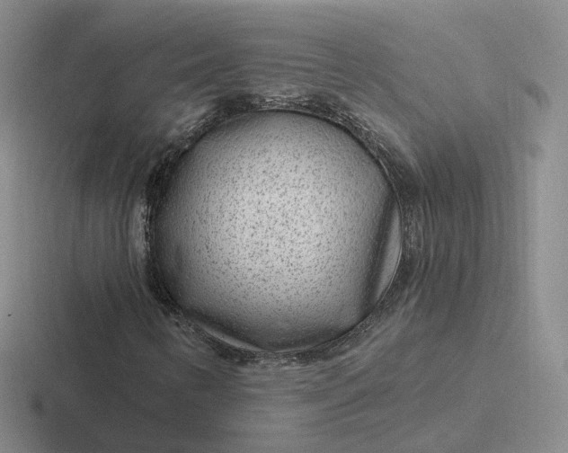 X0000116891346201001051516