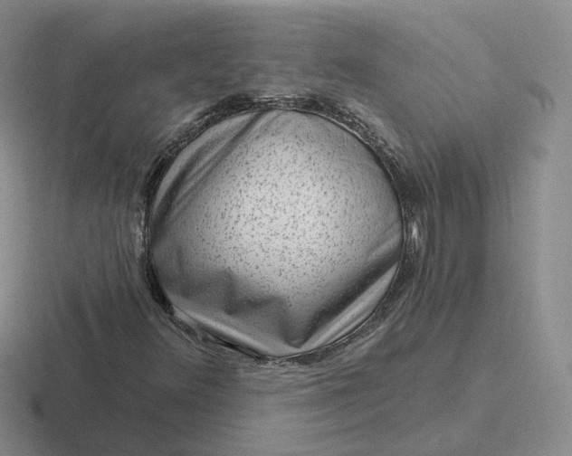 X0000116891348201001051516