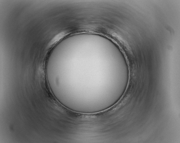 X0000116891354201001051516