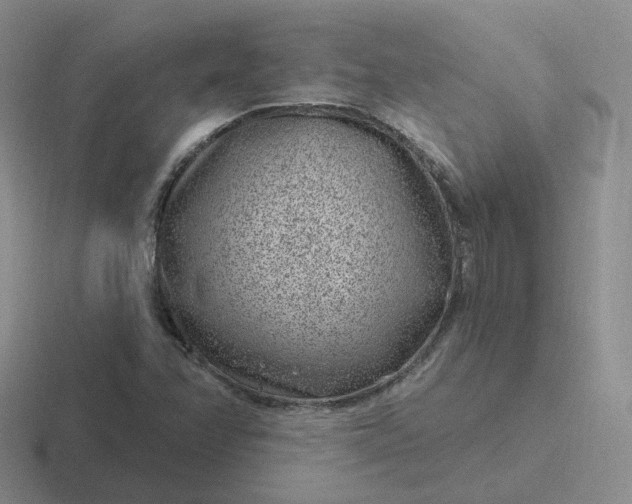 X0000116891358201001051516