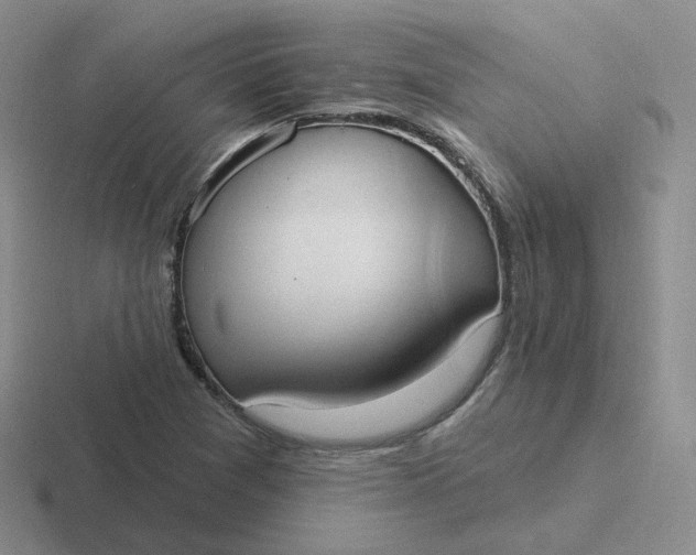 X0000116891361201001051516