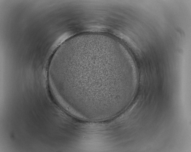 X0000116891362201001051516