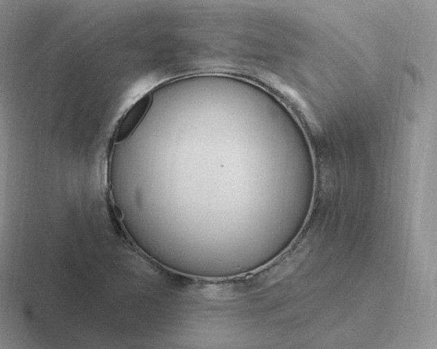 X0000116891365201001051516